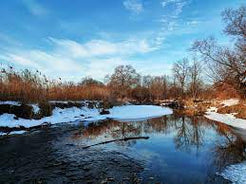 Consultation Session